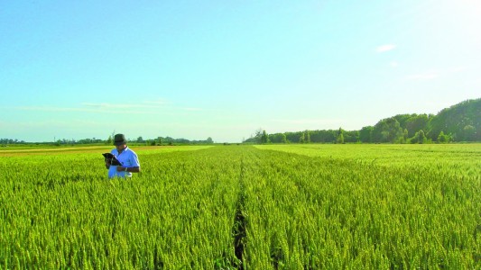 Realizarán talleres de capacitación para veedores en la aplicación de fitosanitarios en periurbanos