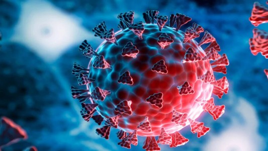 Podría emerger otra variante del coronavirus, advirtió el reconocido infectólogo Anthony Fauci