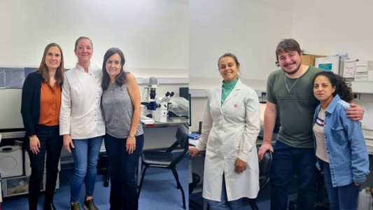 Rosario: se realizó un estudio sobre anticuerpos del COVID