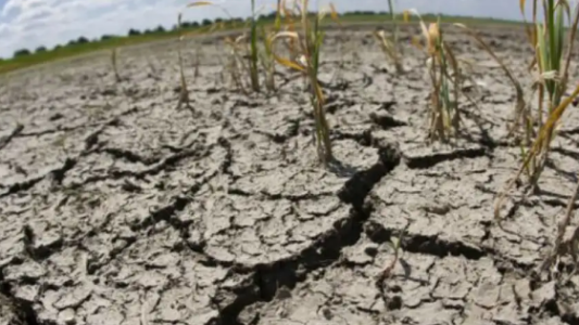 Santa Fe es una de las zonas más comprometidas por la sequía