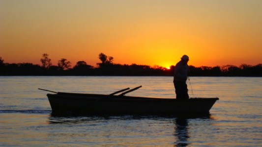 Desde este martes rige la veda de pesca del surubí