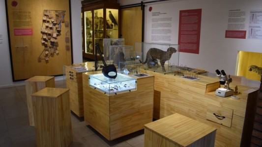 Presentan un conversatorio sobre Derecho al Porvenir en el Museo Ameghino