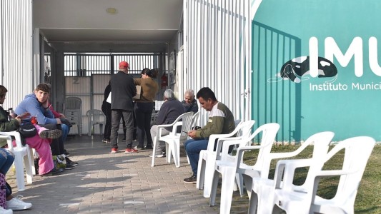 Servicios municipales previstos para este lunes