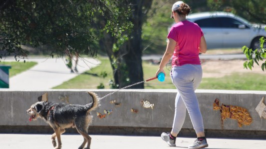 Recomendaciones para prevenir golpes de calor