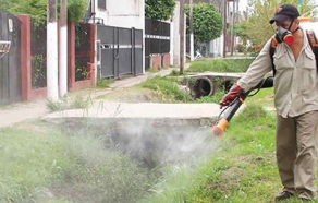 Dónde habrá fumigación este viernes en la ciudad