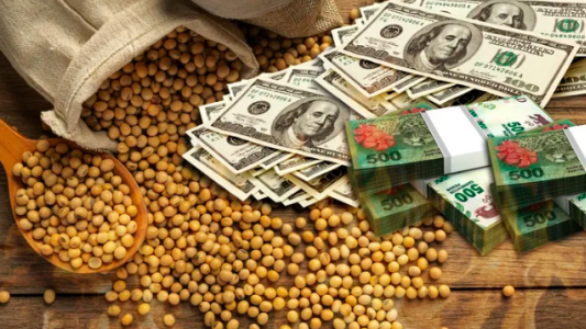 Con la publicación del decreto, comenzó a regir el nuevo “dólar soja”