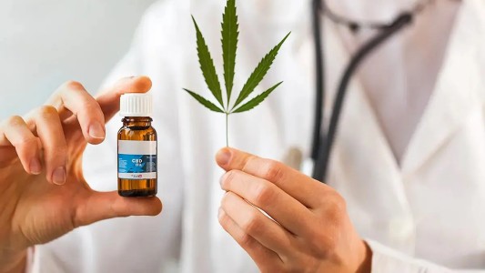 Cannabis Medicinal: reclaman su acceso para adultos mayores con epilepsia
