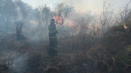 En lo que va del mes, bomberos intervinieron en 82 quemas de pastizales