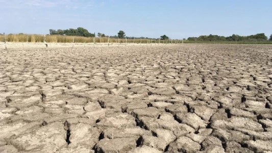 Es oficial: la Nación prorrogó la emergencia o desastre agropecuario en la provincia