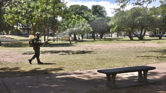 Operativos de fumigación y trabajos de bacheo e iluminación previstos para este miércoles