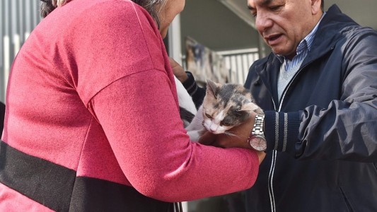 Trabajos de fumigación, iluminación y bacheo para el día de hoy