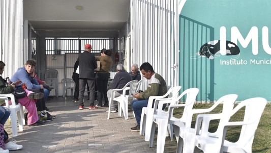Cuáles son los trabajos de fumigación, iluminación y bacheo previstos para hoy