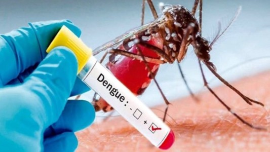 Insisten en la necesidad de extremar los cuidados para prevenir el dengue