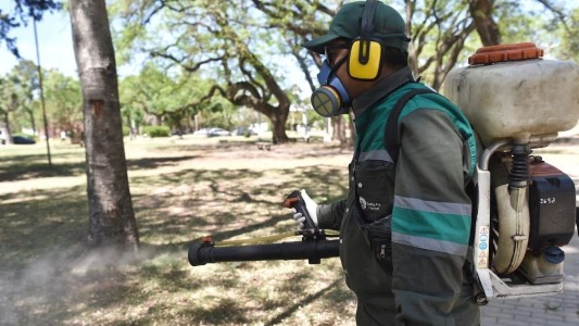 Cuáles son los trabajos de fumigación, iluminación y bacheo este lunes en la ciudad