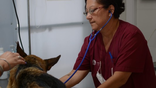 Fumigación, iluminación y bacheo previstos para el día de hoy