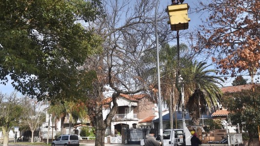 Los trabajos de fumigación, iluminación y bacheo previstos para este viernes