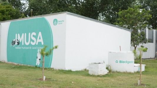 Trabajos de fumigación, iluminación y bacheo previstos para este martes 7 de marzo