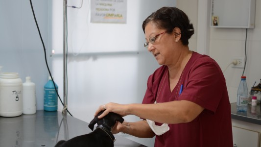 Trabajos de fumigación, iluminación y bacheo previstos para este viernes 10 de marzo