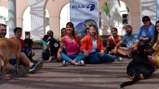 Binomio humano-animal: un equipazo