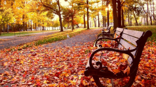 Otoño 2023: Cuándo empieza y qué es el equinoccio