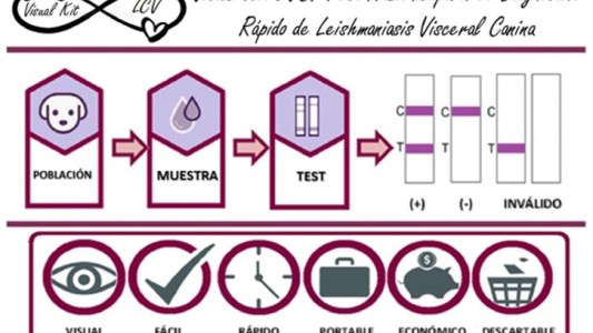 Premios "Pre-semilla": Proyectos santafesinos elegidos por la Fundación Argentina de Nanotecnología