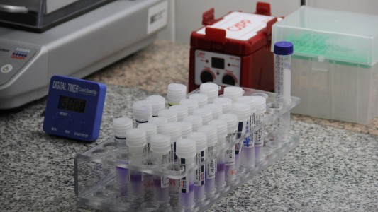 Invitan a mujeres a hacerse testeos preventivos en el mes del cáncer de cuello uterino