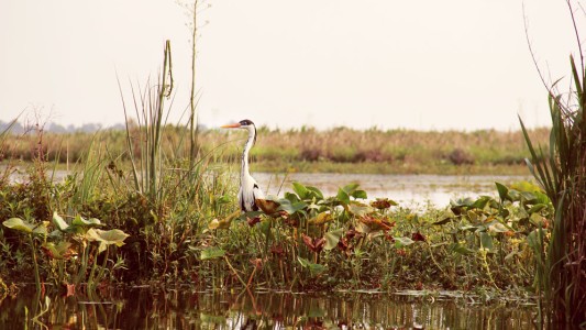 El agua dulce: un recurso natural finito