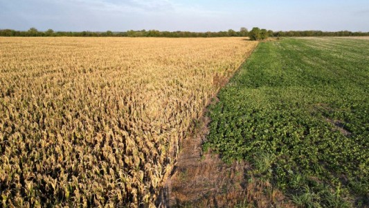 Por la sequía, los ingresos fiscales caerán en hasta 1% del Producto Bruto este año
