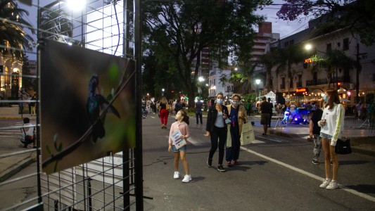 La Noche de las Ideas tendrá tres conferencias con destacados expositores