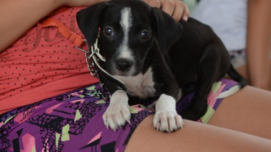 Trabajos de fumigación, iluminación y bacheo previstos para este jueves 30 de marzo