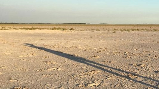 La provincia informó gestiones con AFIP para asistir a productores afectados por la sequía