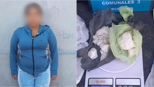 “Mamá dealer”: escondía la droga en los pañales de su hija de un año