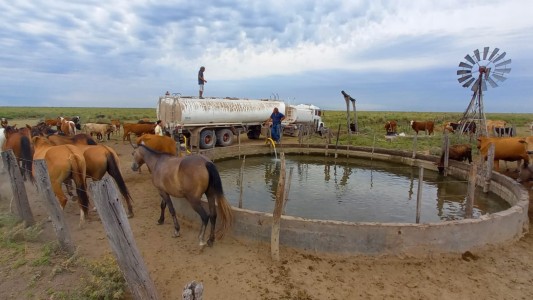 La provincia asistió por $360 millones en créditos y subsidios para 1.800 productores del norte