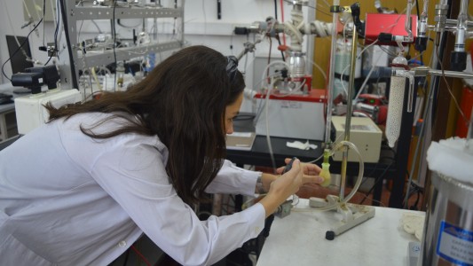 Día de los investigadores: La investigación como motor de cambio