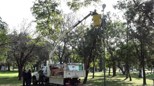 Trabajos de fumigación, iluminación y bacheo previstos para este jueves 13 de abril