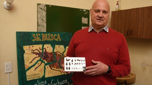 Día Mundial de la Enfermedad de Chagas 2023: la importancia de la prevención y los controles