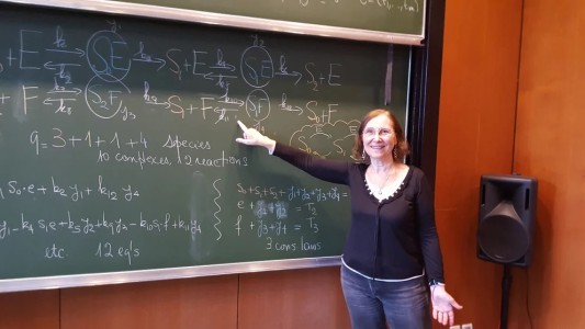 Máximo reconocimiento: la UNL otorga el Honoris Causa a Alicia Dickenstein