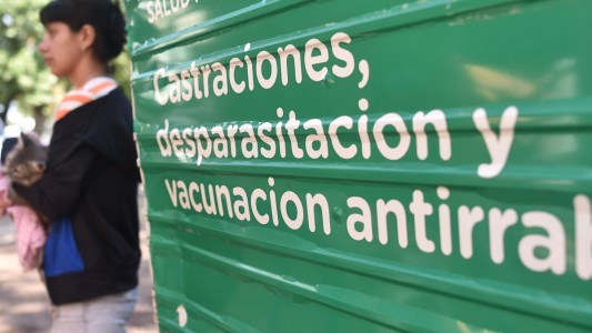 Cuáles son los trabajos de fumigación, iluminación y bacheo previstos para hoy (1)