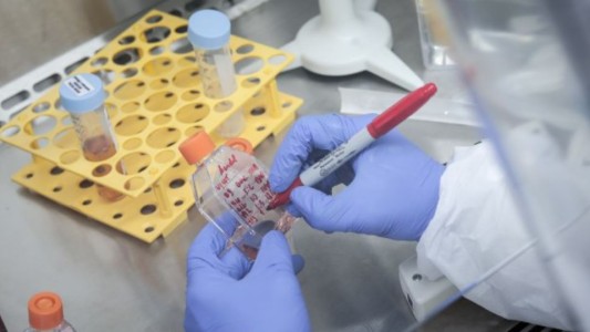 Dengue: los detalles de la nueva vacuna que aprobó la ANMAT