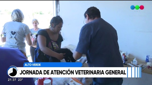 Jornada de atención veterinaria en Alto Verde