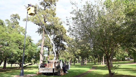 Trabajos de fumigación, iluminación y bacheo previstos para este viernes 5 de mayo