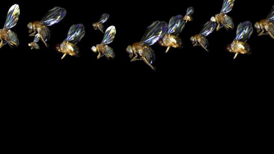 Para escuelas de todo el país: La UNL lanza el concurso “Ciencia en Fotos [Sub 18]"