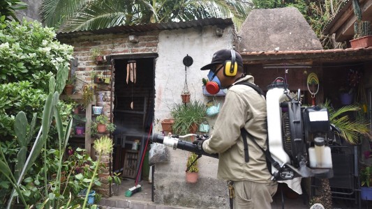Dengue: nuevo descenso en la cantidad de nuevos casos en la ciudad