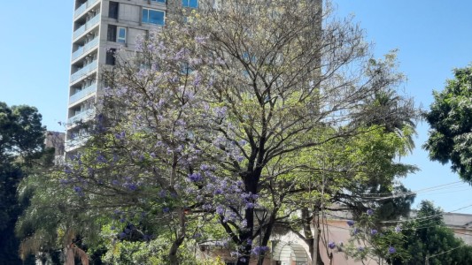 Se espera otra jornada cálida en la ciudad y se podrían registrar algunas lluvias para el viernes
