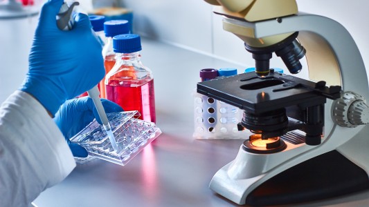 Argentina se posiciona como referente biotecnológico mundial