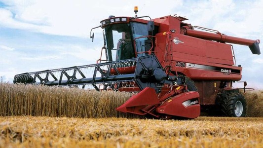 Pese a las lluvias, las previsiones de siembra de trigo caen 30%, la menor en siete años