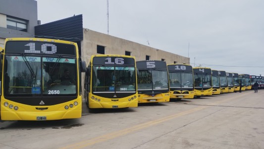 Incorporan colectivos para ampliar la flota de Santa Fe