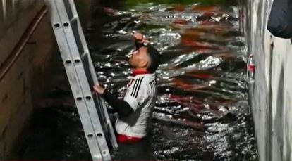 Video: Un hincha de Estudiantes recibió una trompada y cayó a la fosa