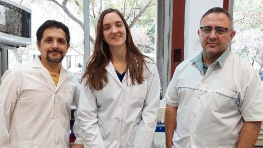 Equipos de la UNL desarrollan biomaterial para reemplazar el plástico en packaging