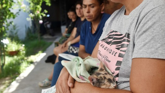 Trabajos de iluminación y bacheo previstos para este miércoles 19